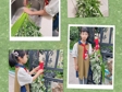 粽叶飘香迎端午 传统文化润童心